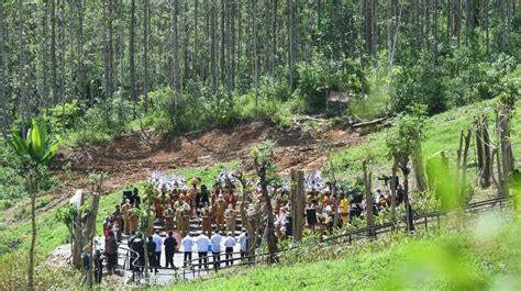 Penyatuan Air Dan Tanah Di IKN Walhi Bentuk Praktik Perampasan Tanah