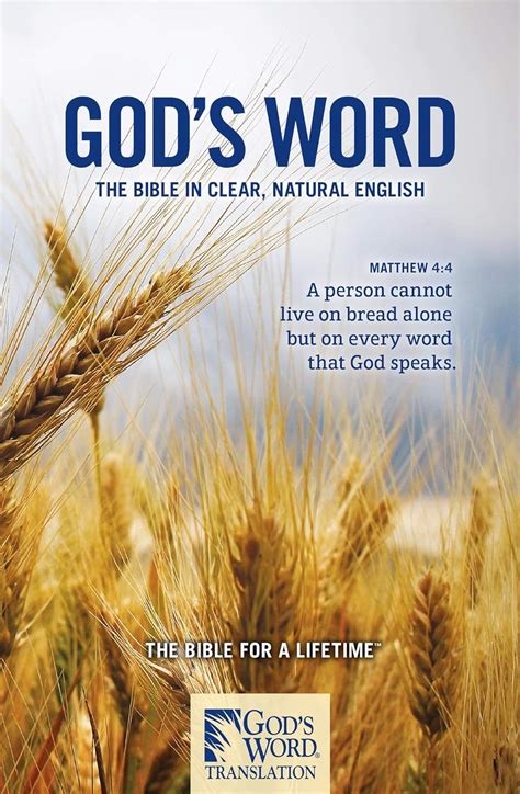 Amazon God S Word Translation Large Print Bible The Bible In