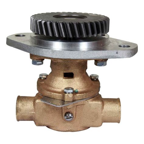 Raw Water Pump M Sherwood Talleres Nasio