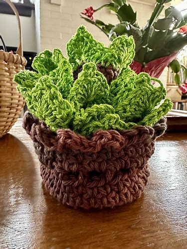 Ravelry Succulent Plant Pot Coaster Set Pattern By Bruna Biavati