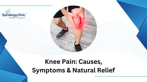 Understanding Knee Pain: Causes, Symptoms, Natural Relief | Best Back ...