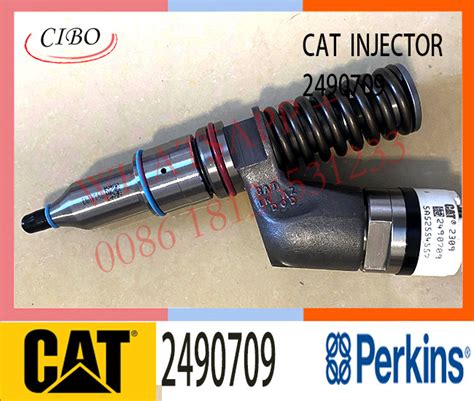 C10 C12 3176 3196 Common Rail Fuel Injector 10r1273 249 0709 2490709 317 5278 3175278 For Cat