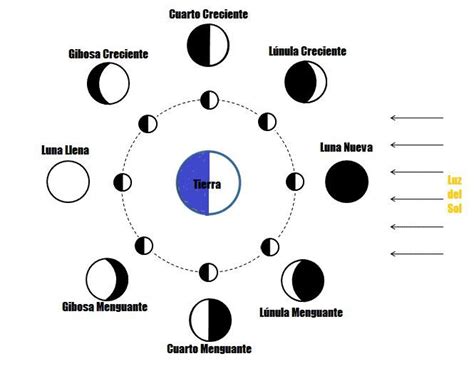 Los Nombres De Las Fases De La Luna UNIVERSO Blog Fases De La Luna