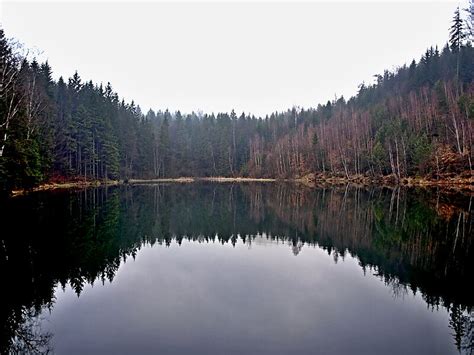 Hammer Talsperre in Liberecký kraj Tschechien Sygic Travel