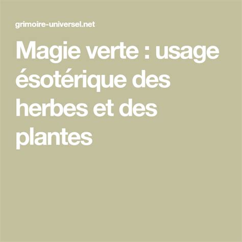 Magie Verte Usage ésotérique Des Herbes Et Des Plantes Magie Verte