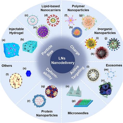 Summary Of Nano Delivery Systems In Lns For Tumor Immunotherapy A