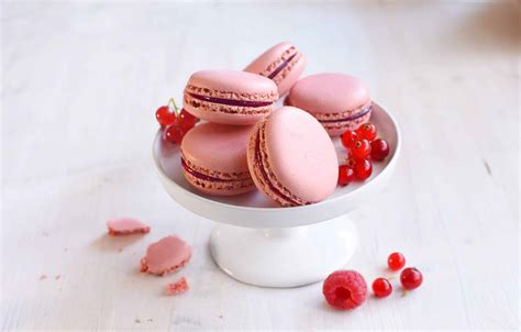 Macarons aux fruits rouges Recette adaptée Primevere