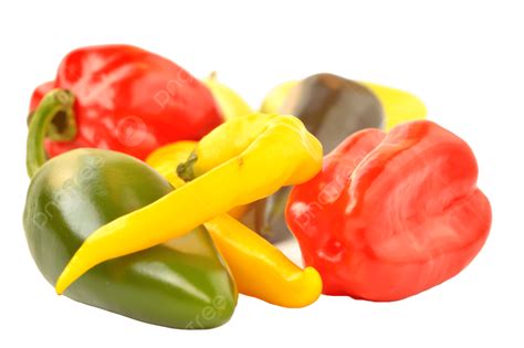 Multi Colored Peppers On A White Background White Background Fruit