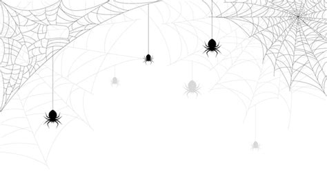 Premium Vector Spiders On Web With White Background Halloween