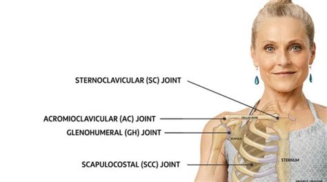 Dislocation Of Sternoclavicular Joint And Acromioclavicular Joint