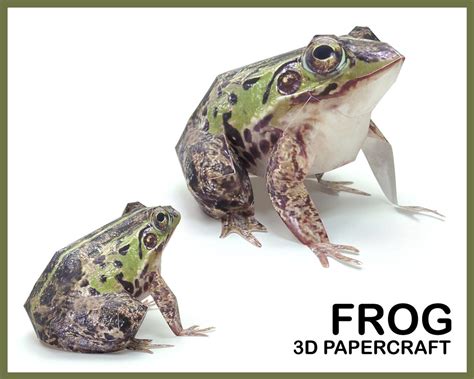 DARK-SPOTTED FROG 3D Papercraft / Frog Paper Sculpture / Frog Statue ...