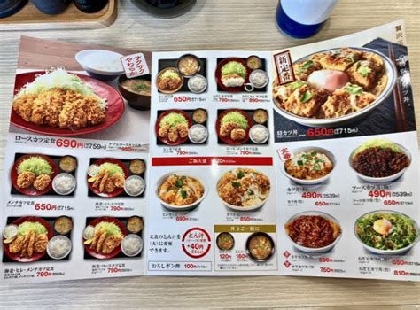 リッチな豚汁定食650円！「かつや」のとん汁定食こそが大人メニューの代表格だな！ B級グルメランチ紀行