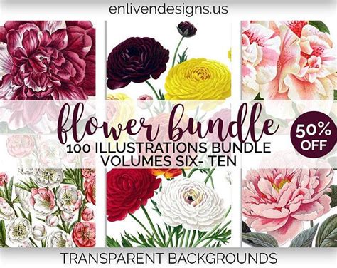 Flowers Clipart Hand Drawn Floral Cliparts Realistic Floral Logo Art