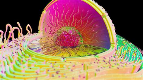 Free Photo Abstract Illustration Of The Biological Cell