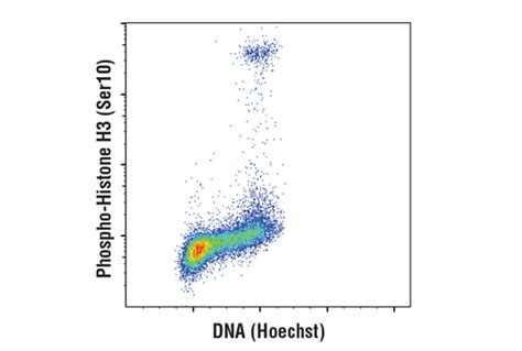 Hoechst 33342 Cell Signaling Technology