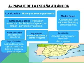 Dominios Y Paisajes Agrarios En Espa A Ppt