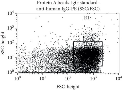 A D SSC Versus FSC Dot Plot Of The Immunocomplex Protein A Beads IgG