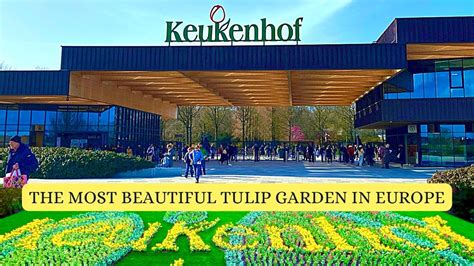 Keukenhof Garden Is Now Open The Most Beautiful Tulip Garden In