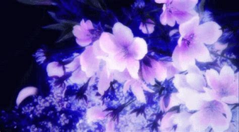 Purple Flowers GIF - Purple Flowers - Scopri e condividi GIF