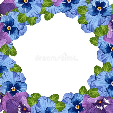 Blue And Purple Pansy Flowers Botanical Watercolor Illustration Ready