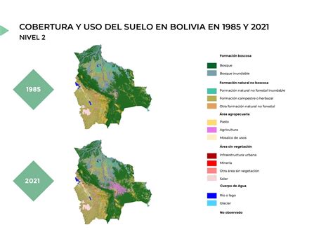 Bolivia Perdió Casi Ocho Millones De Hectáreas De Bosques Y Más De La