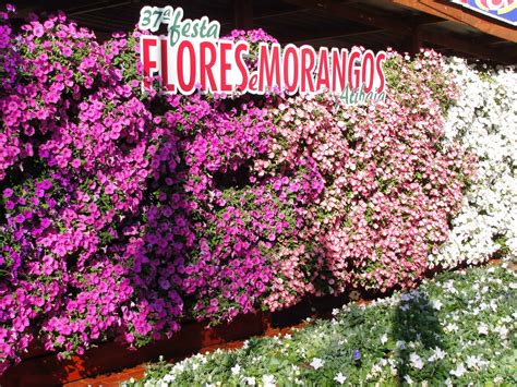 Ingressos Festa De Flores E Morangos De Atibaia