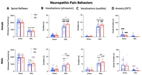 Brain Sciences Free Full Text Fear Extinction Based Inter Individual And Sex Differences In