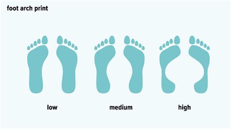 Types Of Feet Can Foot Shape Determine Your Ancestry Or Personality