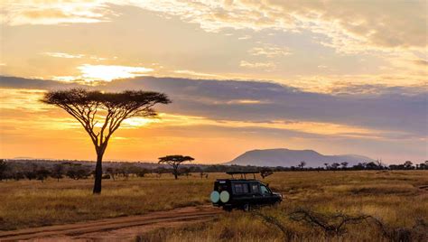 Pictures Sanparks Ready To Welcome Back Guests During Level 3