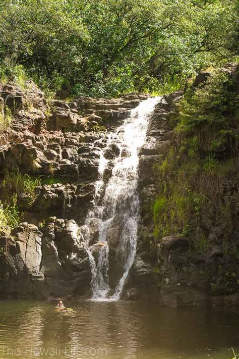 Waimea Falls This Hawaii Life