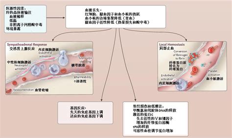 Nejm最新综述：失血性休克