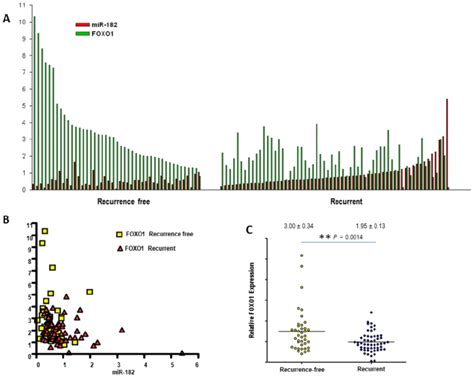 Mir 182 Inversely Correlates Foxo1 In Primary Prostate Tumors A Download Scientific Diagram