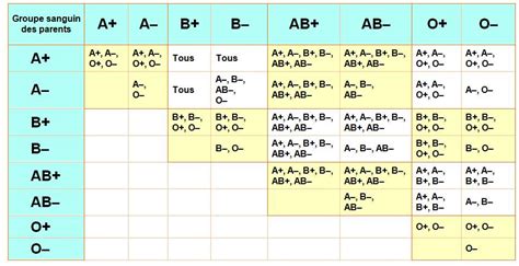 Les Différents Groupes Sanguins Compatibilité Donneurs Et Receveurs