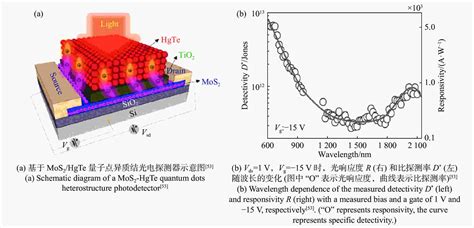 二维材料异质结高灵敏度红外探测器