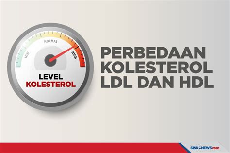 Sindografis Perlu Diketahui Ini Perbedaan Kolesterol Ldl Dan Hdl