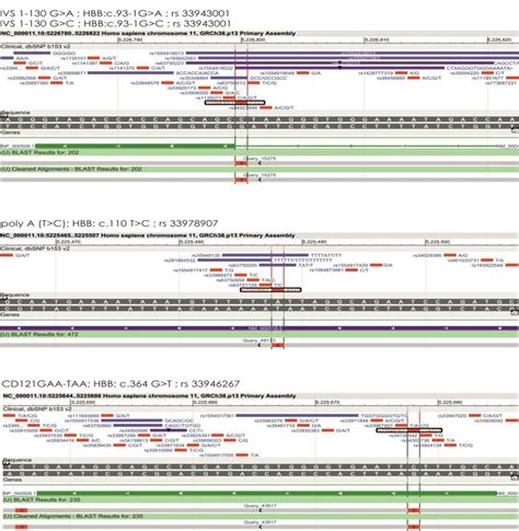 DNA sequence results of HBB Gene Mutation. | Download Scientific Diagram