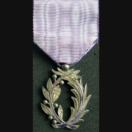 M Daille De Chevalier De L Ordre Des Palmes Acad Miques En Argent