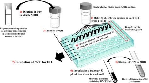 Broth Microdilution For Antibacterial Testing As Recommended By CLSI