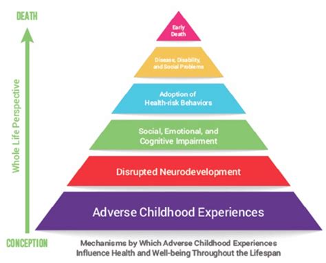 Trauma Informed Care Model Trauma Informed Therapy