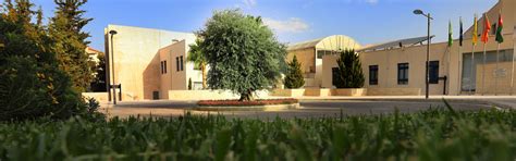 HISTORY - Princess Sumaya University for Technology