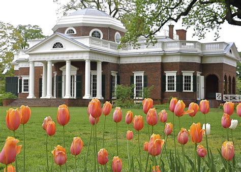 12 Facts About Facts About Monticello - Facts.net