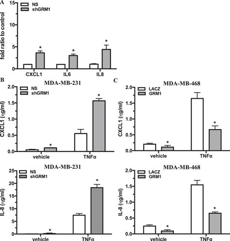 Grm Mediates Cxcl Il And Il Expression In Tnbc Cells Knockdown