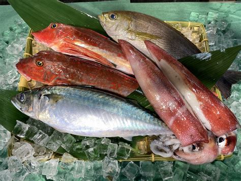 わたなべのオススメ鮮魚ボックス 通販・販売 築地お取り寄せ市場