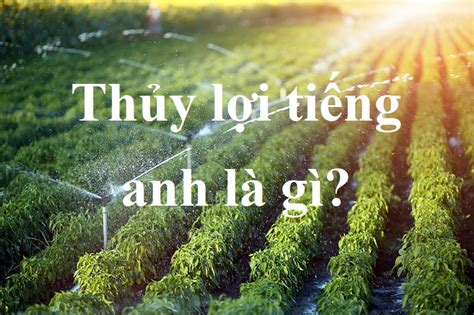 Thuỷ Lợi trong Tiếng Anh là gì Định Nghĩa Ví Dụ Anh Việt