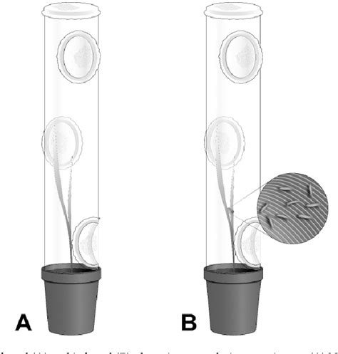 Figure 1 From Barley Varieties Stoneham And Sydney Exhibit Mild