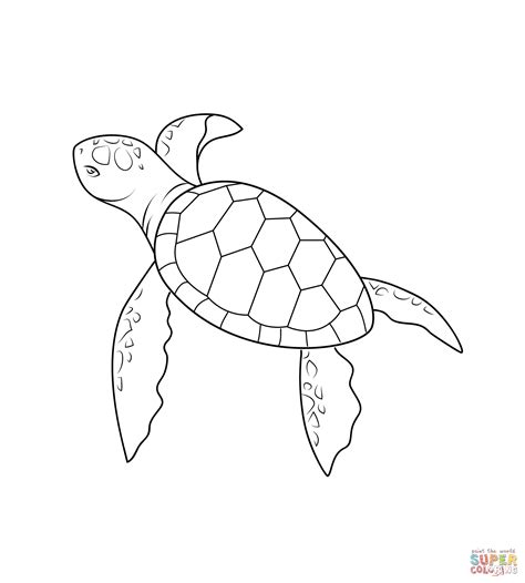 Baby Sea Turtle Drawing at PaintingValley.com | Explore collection of ...