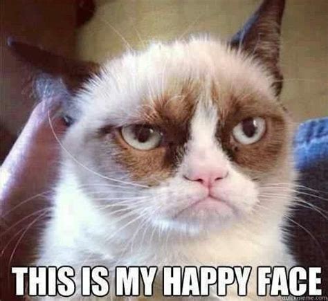 Grumpy Cat This Is My Happy Face Celeste Photo Fanpop