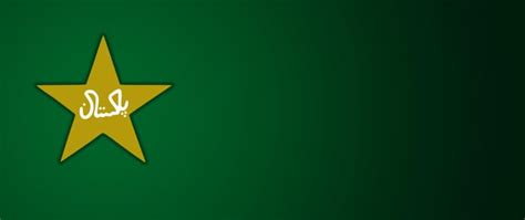 Pakistan Cricket Team Logo Wallpaper : r/pakistan