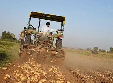 Rajshree Agri Export Cumin Seed Millet Peanut And Potato Exporter