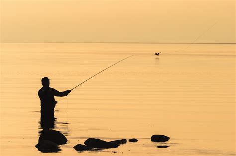 Smallmouth Bass Love the Clouser Minnow - Everything Smallmouth